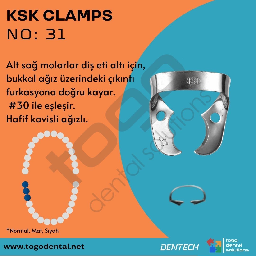 KSK Clamps No:31_ Molar Klemp