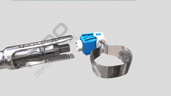 Rhondium QuickConnect Anatomy Band Intro Kit